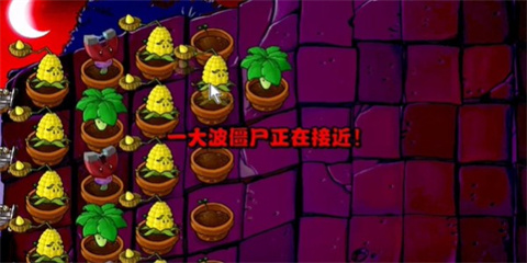 pvz活死人之园